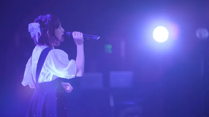 南条爱乃 横滨5周年演唱会