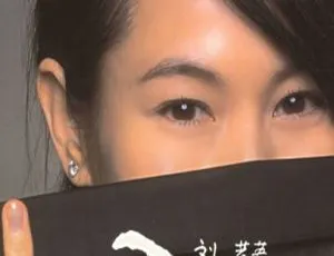刘若英《我的失败与伟大》KTV DVD原盘-蓝海网