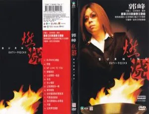 郭峰燃烧BURNING卡拉OK KTV DVD专辑-蓝海网