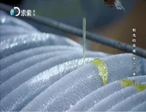制造的原理第12季全12集 英语中字 高清收藏版纪录片-蓝海网