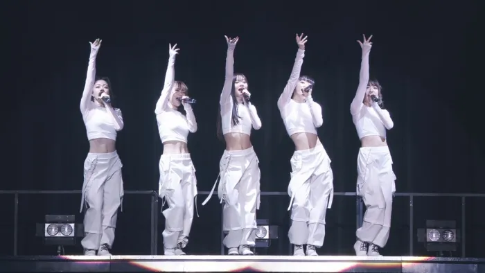 Fairies 2019演唱会DVD