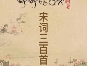 婷婷唱古文宋词精选儿童音乐全10集MP3