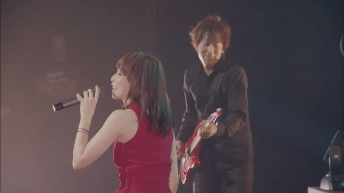 Every Little Thing 15周年巡演