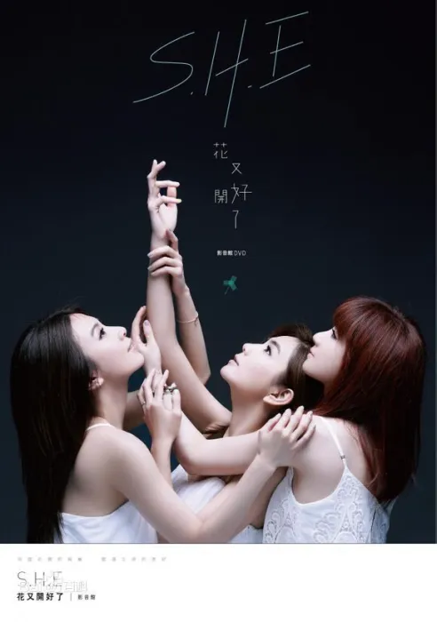 SHE双碟套装典藏版

解析：
1. 精准包含专辑名《花又开好了影音馆》和核心介质DVD
2. 突出Disc1完整专辑的实体信息需求
3. 