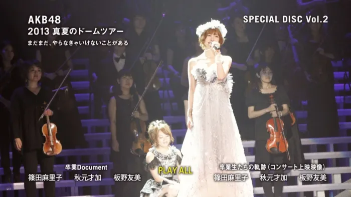 AKB48 2013真夏ドームツアー BD