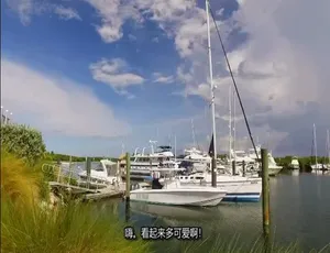 岛屿生活岛屿寻屋趣 Island Life 第11季全14集 1080P高清 英语中字