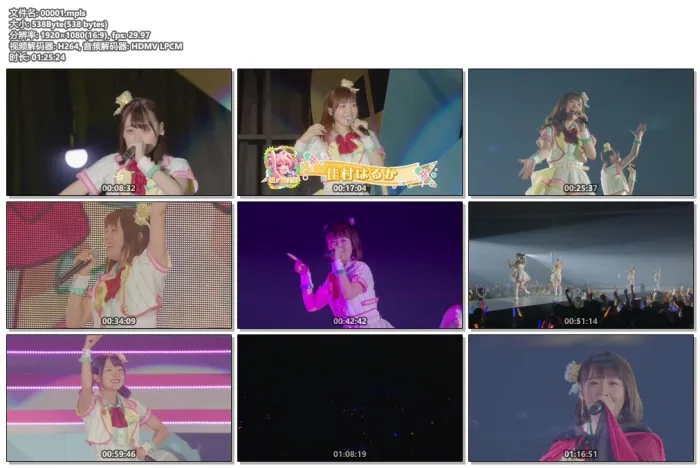 偶像大师声优演唱会特典