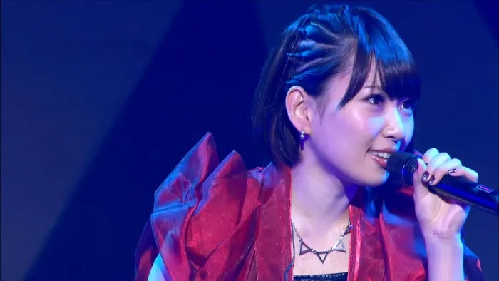 AKB48 2015演唱会实录