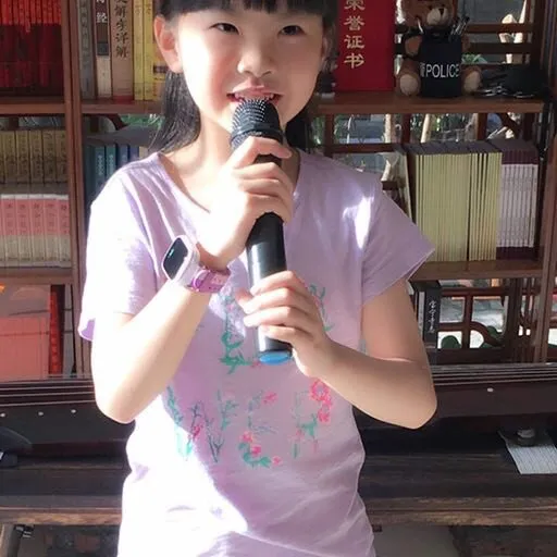 再别康桥朗诵技巧