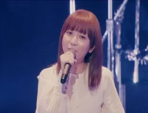 EVERY LITTLE THING 15周年巡演珍藏版 - 2012 ORDINARY 蓝光现场全记录-蓝海网