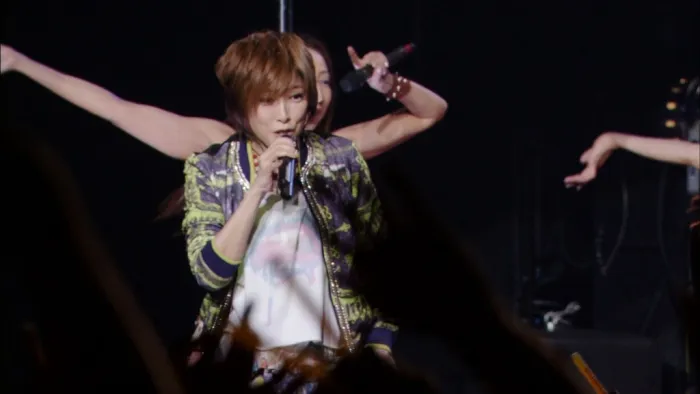 TRF 20周年演唱会