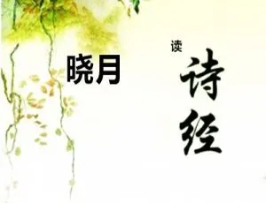 晓月国学启蒙：诗经经典故事全集308讲-蓝海网