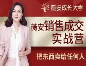 职场办公薇安28天销售高手实战培训：提升业绩必备视频音频文档课程-蓝海网