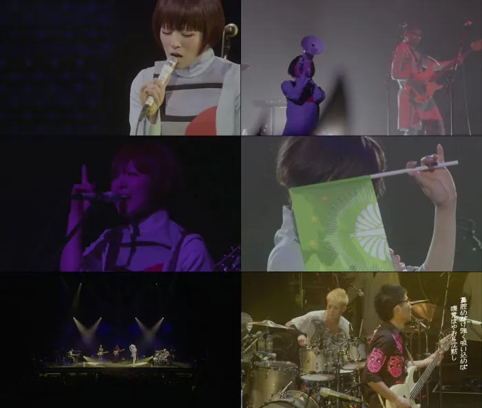Tokyo Jihen巡演蓝光