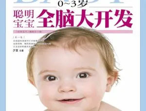 聪明宝宝全脑大开发：0～3岁早教启蒙MP3全集