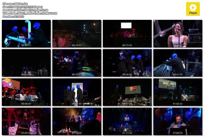 Blue Man Group 2008演唱会
