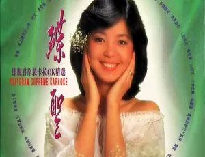 邓丽君 碟圣原装卡拉OK精选 VOL.2 双碟典藏版DVD ISO-蓝海网