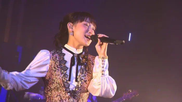 15周年演唱会蓝光