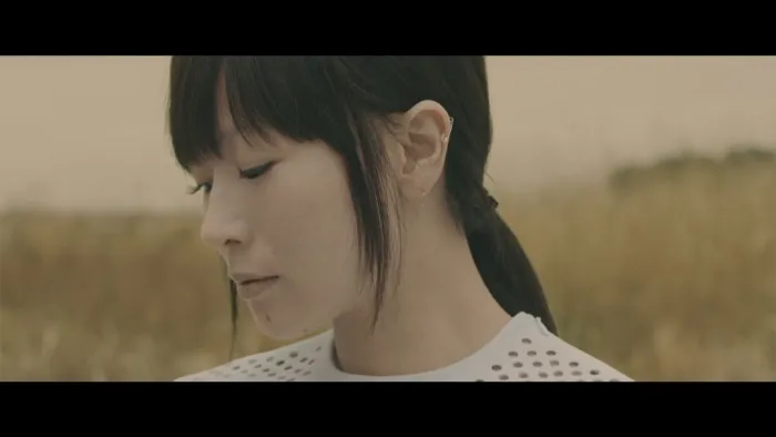 椎名林檎 圣域疗愈 Blu-ray