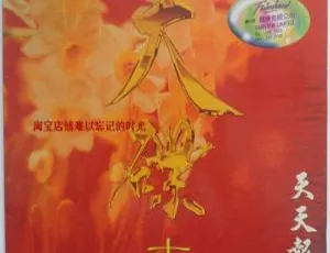 华纳金曲卡拉OK天碟18 天天报喜 经典LD转制高清双碟DVD原盘-蓝海网