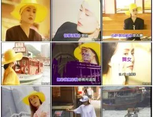 陈小云经典MV卡拉OK精选 高品质KTV DVD ISO-蓝海网
