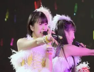 桃色幸运草Z 2013日本巡演 5TH DIMENSION 蓝光版 ISO镜像 45G-蓝海网