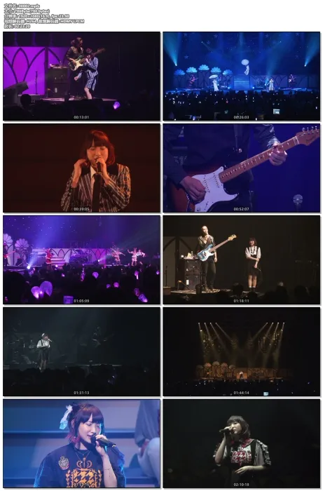 南条爱乃 横滨5周年演唱会