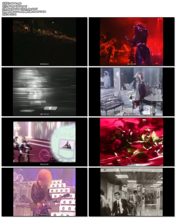 VISUAL SHOCK 1989演唱会