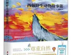 西顿动物故事全集 经典儿童有声读物12集MP3-蓝海网