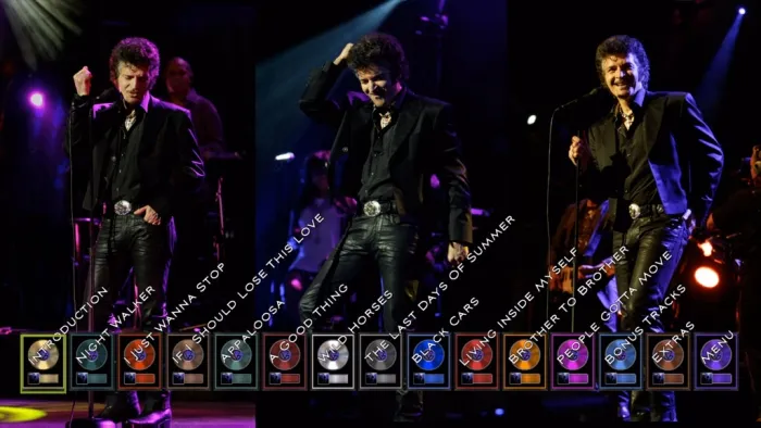 Gino Vannelli 2014演唱会蓝光