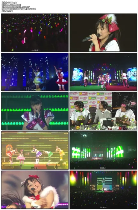 日本巡回演唱会