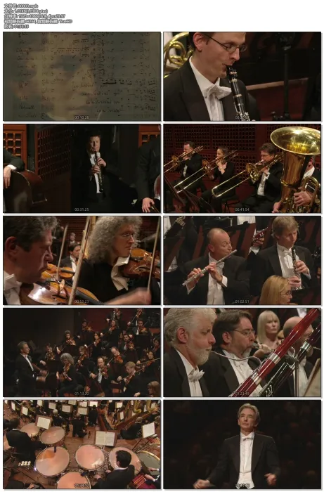 Michael Tilson Thomas interpretation