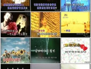 群星中国星MTV金碟2 LD转DVD ISO高清经典收藏-蓝海网