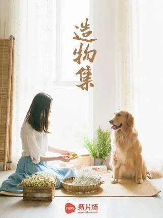 家庭手作纪录片