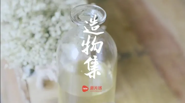 天然护肤DIY教程