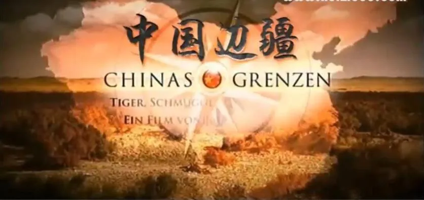 东北虎保护